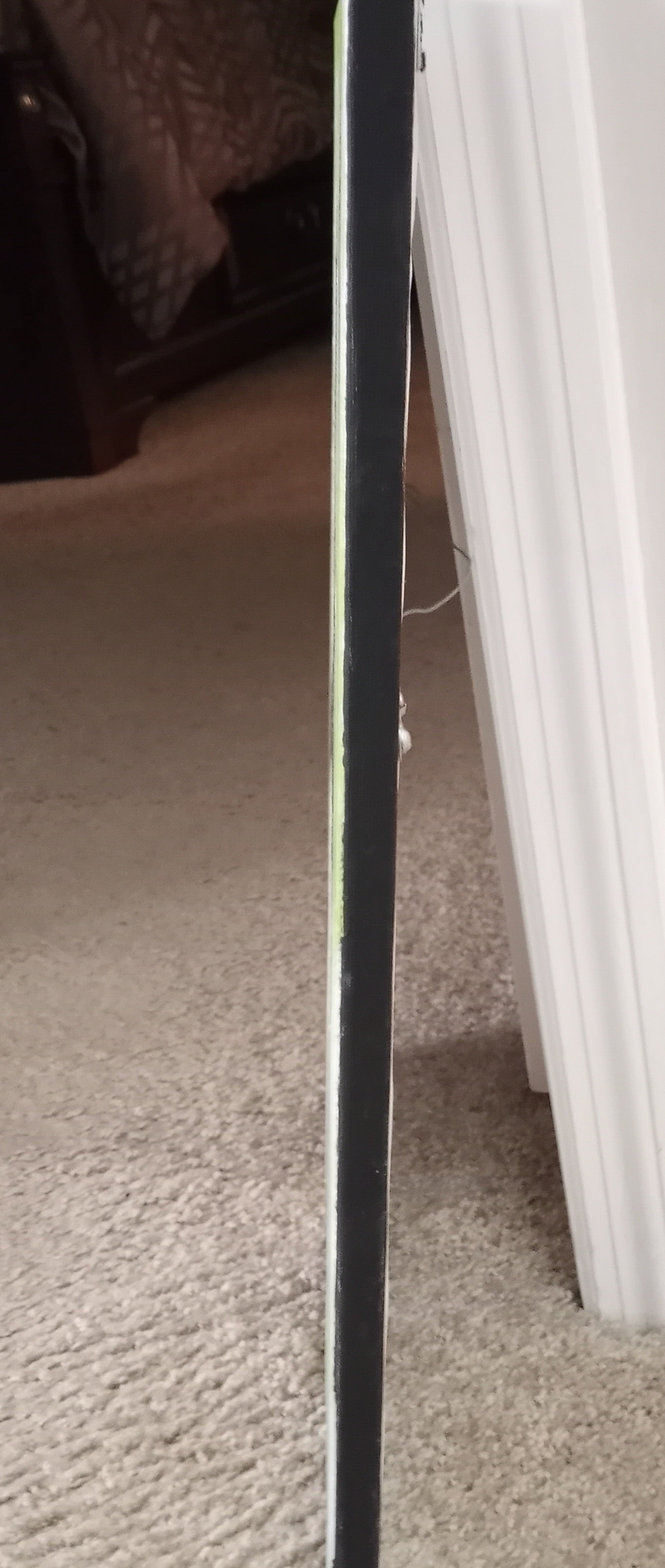 16" x 20" Original art painting hand signed acrylic| Airborne 1